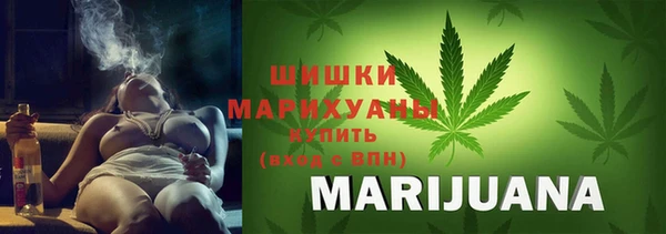 первитин Богданович