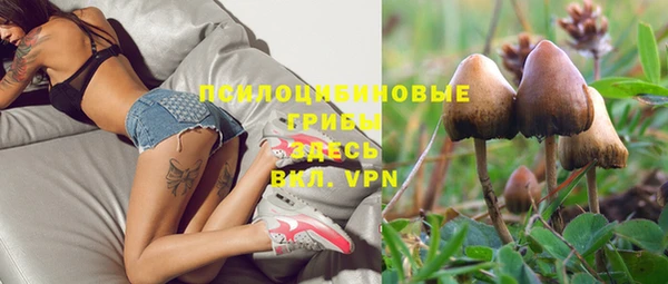 первитин Богданович