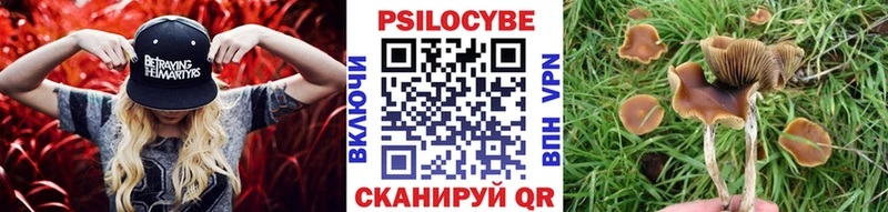 Купить закладки  Анадырь  Галлюциногенные грибы мицелий 